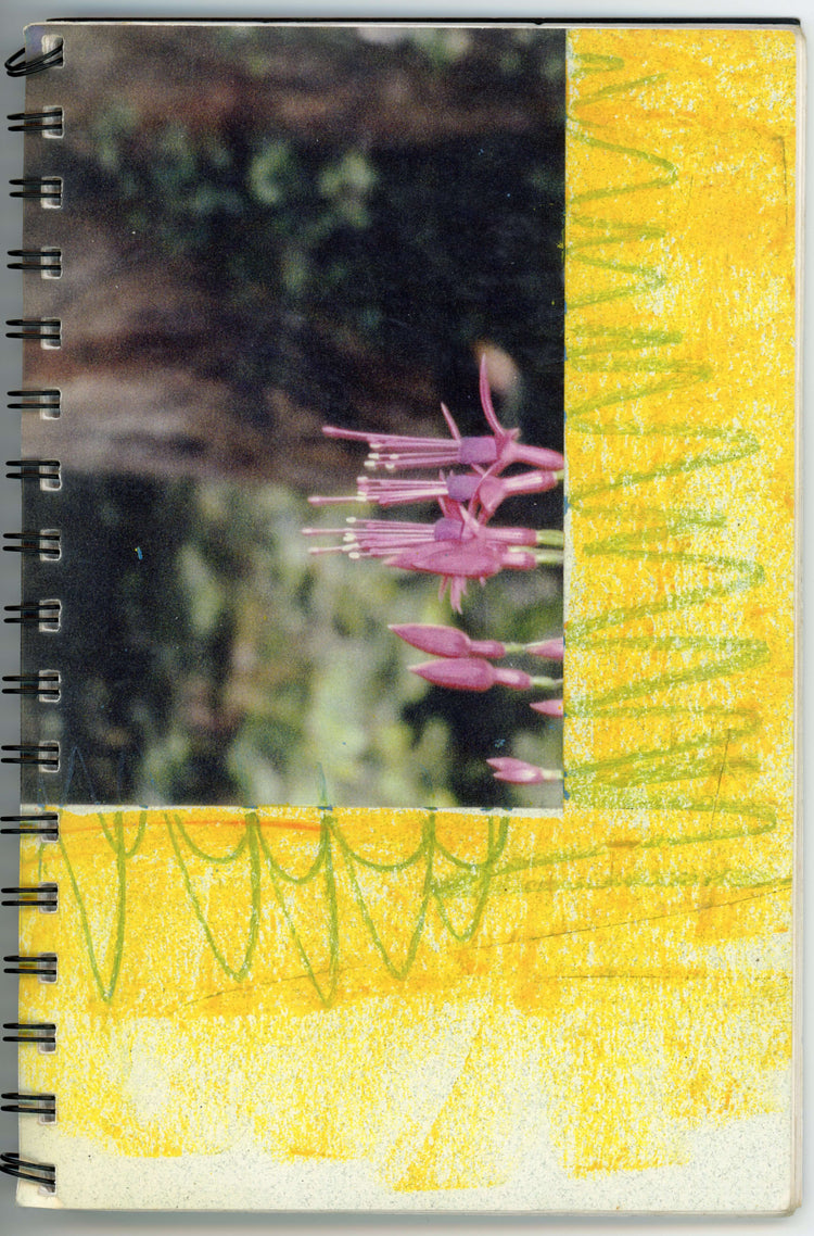 Japan Tour - September 1997